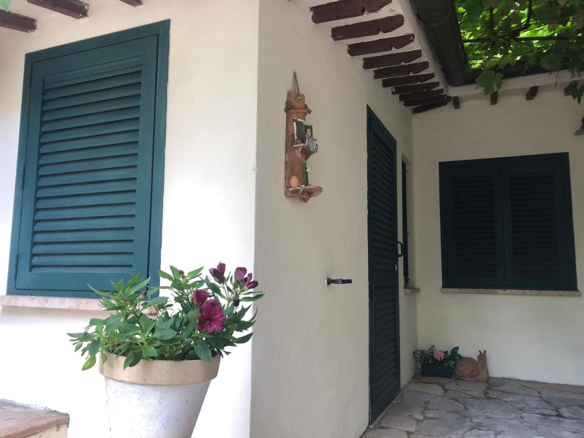 B&B Uva Fragola Perugia Esterno foto